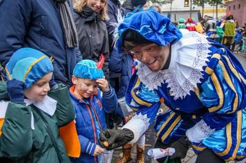 Professionele Roetveegpiet voor bedrijven en huisbezoeken! beschikbaar voor biedingen