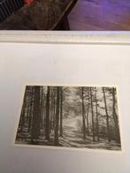 STEENWIJK. " OP DE EESE"  1953, Verzamelen, Ophalen of Verzenden, 1940 tot 1960, Overijssel