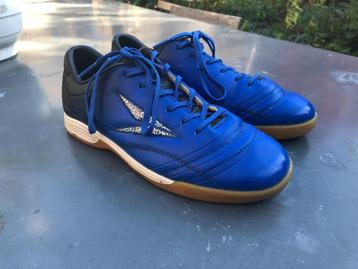 Sportschoenen, zaalsport, Dutchy, maat 38-39, zgan beschikbaar voor biedingen
