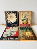 Verkade albums, nog 1 beschikbaar, Ophalen of Verzenden, Gelezen