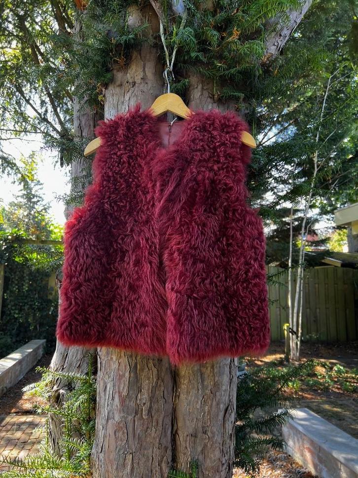 SUITE 22 lammy bodywarmer reversible S/M BURGUNDY €95- TIEN, Kleding | Dames, Jassen | Winter, Zo goed als nieuw, Rood, Ophalen of Verzenden