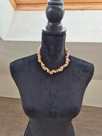 A9 : schelpjes, Verzenden, Nieuw, Bruin, Steen of Mineraal