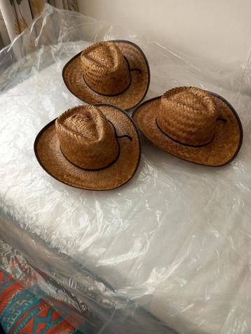 3 rieten carnavalshoeden beschikbaar voor biedingen