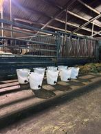 Speen emmers, kalveren, Dieren en Toebehoren, Ophalen