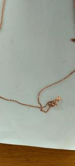 Pandora halsketting, Sieraden, Tassen en Uiterlijk, Kettingen, Ophalen of Verzenden, Nieuw, Zilver, Zilver