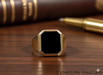 16784  Exclusieve 14K Gouden Zegelring met Onyx beschikbaar voor biedingen