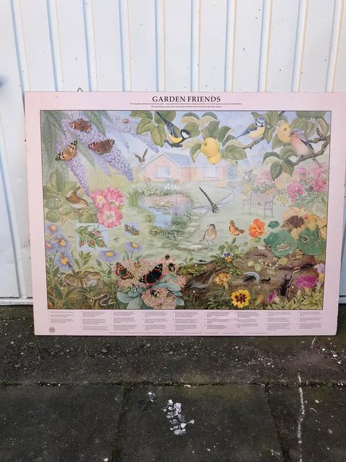 Mooie Engelse schoolplaat Garden friends met o.a vlinders, Antiek en Kunst, Antiek | Schoolplaten, Natuur en Biologie, Ophalen of Verzenden