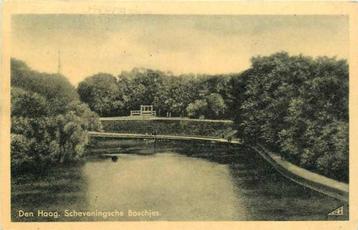(377-713-009) Den Haag Scheveningsche Boschjes beschikbaar voor biedingen