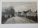 Renesse Dorpsgezicht, Ophalen of Verzenden, Voor 1920, Ongelopen, Zeeland