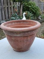 🎯  DEROMA, italiaanse terracotta plantenbak   44 cm, Ophalen, 40 cm of meer, Rond, Minder dan 40 cm