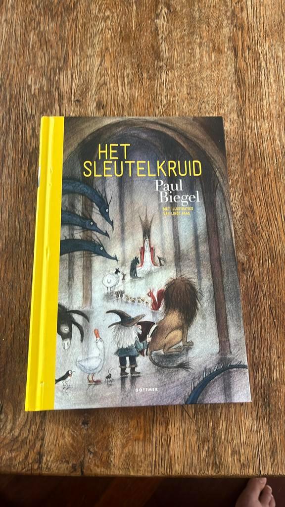 Paul Biegel - Het sleutelkruid, Boeken, Kinderboeken | Jeugd | 10 tot 12 jaar, Zo goed als nieuw, Ophalen