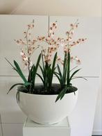 Hoogglans witte zuil met ovale bloempot / bloembak., Tuin en Terras, Bloembakken en Plantenbakken, Ophalen, Overige materialen