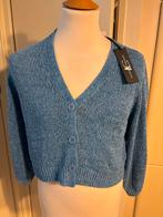 Luisa Cerano Blauwe Trui Maat 38, Kleding | Dames, Truien en Vesten, Ophalen of Verzenden, Zo goed als nieuw, Maat 38/40 (M), Blauw