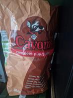 Cavom compleet puppy, Ophalen, Hond
