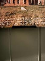 Vinyl / LP houder, Ophalen of Verzenden, Nieuw in verpakking, Overige formaten