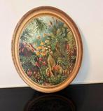 Ovale schilderij met tropisch tafereel, Antiek en Kunst, Ophalen of Verzenden