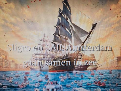2 x VIP-Experience tickets Sail Amsterdam, Tickets en Kaartjes, Evenementen en Festivals, Drie personen of meer
