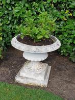 bloemen pot vaas, Ophalen