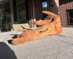Groot stuk Kienhout / Driftwood / Spiderwood voor aquarium, Dieren en Toebehoren, Ophalen of Verzenden, Plant(en), Steen of Hout