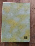 Het nieuwe testament.    Grote letter editie., Ophalen of Verzenden, Gelezen