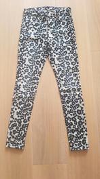 Jeans met panterprint, Scotch & Soda, maat 26/32, Kleding | Dames, Spijkerbroeken en Jeans, Overige kleuren, Scotch & Soda, Ophalen of Verzenden