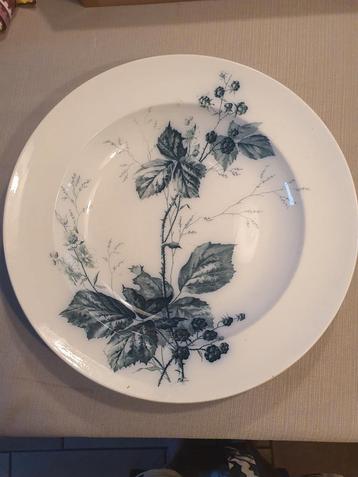 Groot diep bord 36 cm Villeroy en Boch Braam beschikbaar voor biedingen