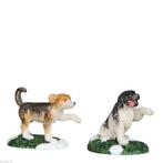 Luville:  Dogs, Verzamelen, Ophalen of Verzenden, Nieuw