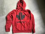 Diverse Dsquared2 kledingstukken maat 164, Ophalen, Zo goed als nieuw, Jongen, Trui of Vest