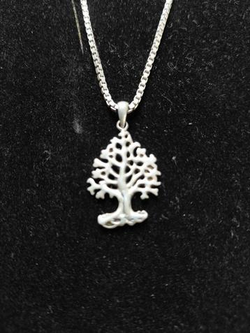 bonsai  kettinghanger,ketting zilver 50 cm beschikbaar voor biedingen