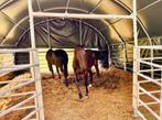 Mobiele schuilstal, weidetent XL: Paarden, Pony, Alpaca, Koe, Stalling, 4 paarden of pony's of meer