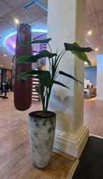 2 Grote Kunstplanten Olifantsoor in Sierpot, Huis en Inrichting, Kamerplanten, Ophalen