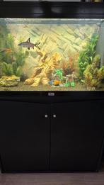 Mooie aquarium inclusief inhoud, 128 GB, Ophalen of Verzenden, Zo goed als nieuw, Zwart