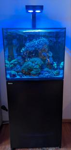Aquarium Reefer 170 de Luxe, Dieren en Toebehoren, Vissen | Aquaria en Toebehoren, Ophalen, Gebruikt