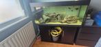 Juwel rio 120cm, Dieren en Toebehoren, Vissen | Aquaria en Toebehoren, Ophalen, Zo goed als nieuw, Gevuld zoetwateraquarium