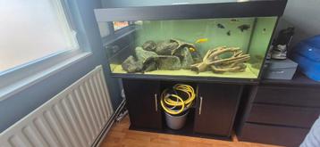 Juwel rio 120cm  beschikbaar voor biedingen