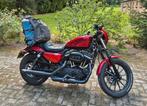 Harley Davidson sportster iron 883, Motoren, Motoren | Harley-Davidson, 2 cilinders, Chopper, 883 cc, Particulier