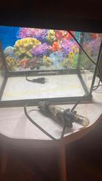 Aquarium superfisch 20 liter komt uit rook vrij huis  hie, Ophalen, Zo goed als nieuw, Grind, Zand of Voedingsbodem