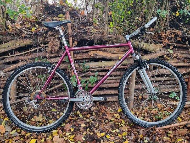 American eagle is een oudje maar nog lang niet met pensioen, Fietsen en Brommers, Fietsen | Mountainbikes en ATB, Overige merken