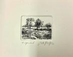 Kleine originele ets van landschap., Ophalen of Verzenden