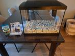 Mooi starters aquarium. Superfish Tropical 50, Dieren en Toebehoren, Ophalen, Zo goed als nieuw, Leeg aquarium