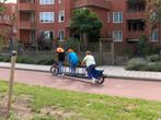 Reuzenstep, Ophalen, Gebruikt