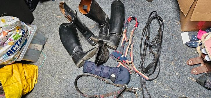 Petrie en derbie laarzen, Dieren en Toebehoren, Paarden en Pony's | Dekens en Dekjes, Ophalen of Verzenden