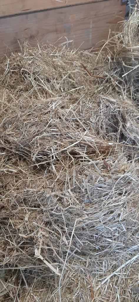Paarden hooi, Dieren en Toebehoren, Dierenvoeding, Vee, Ophalen
