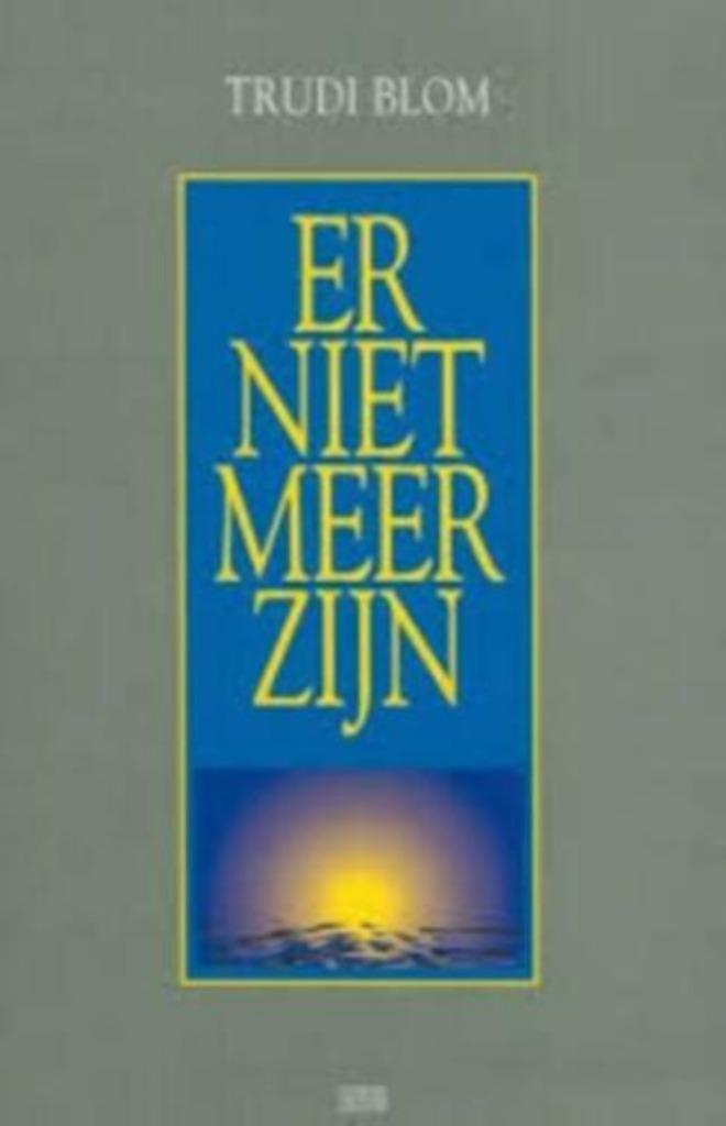 Als ik er niet meer ben Trudi Blom 9033614790, Boeken, Romans, Zo goed als nieuw, Ophalen of Verzenden