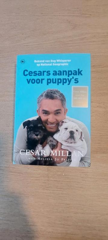 Cesar Millan - Puppy Training Boek beschikbaar voor biedingen