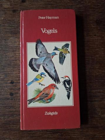 "Vogels" Peter Hayman zakgids, scrapbook,bullet journal, 80s beschikbaar voor biedingen