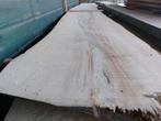 Prachtige beukenschaaldelen, Doe-het-zelf en Verbouw, Hout en Planken, Ophalen, 25 tot 50 mm, Nieuw, Plank