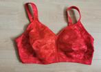 104 .. Nieuwe bh maat 110 H, Kleding | Dames, Grote Maten, Ophalen of Verzenden, Nieuw, Lingerie of Zwemkleding