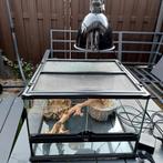 Terrarium met warmtelamp en toebehoren, Dieren en Toebehoren, Reptielen en Amfibieën | Toebehoren, Ophalen, Zo goed als nieuw