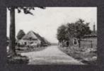 Grolloo Drenthe Straatbeeld Boerderijen., Ophalen of Verzenden, 1960 tot 1980, Ongelopen, Drenthe